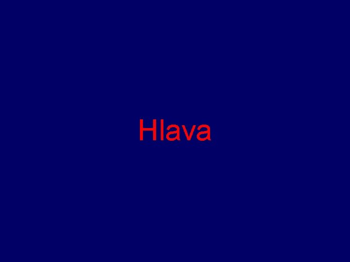 Hlava 