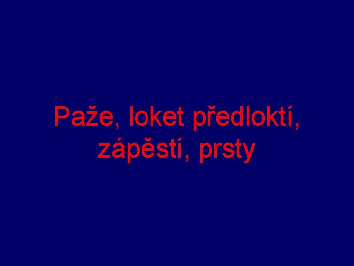 Paže, loket předloktí, zápěstí, prsty 