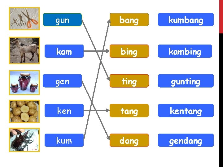 gun bang kumbang kam bing kambing gen ting gunting ken tang kentang kum dang