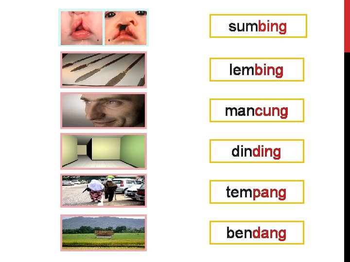 sumbing lembing mancung dinding tempang bendang 