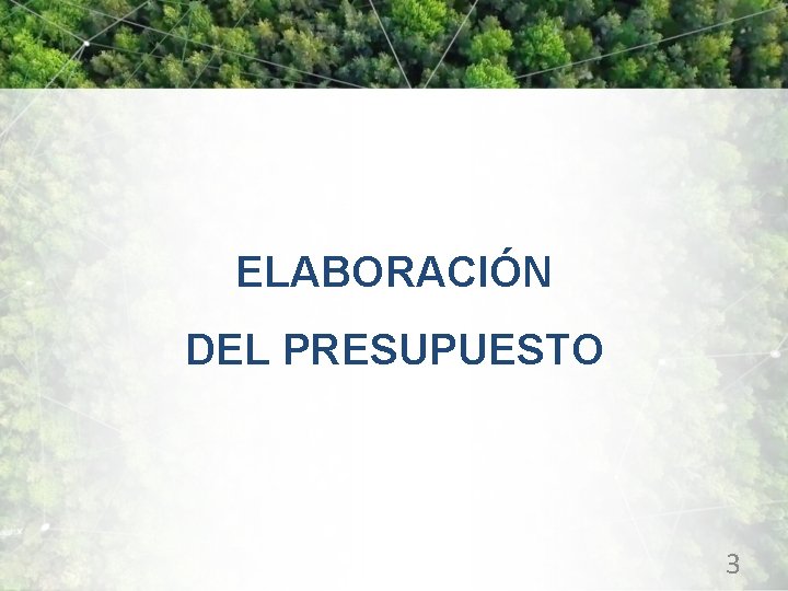 ELABORACIÓN DEL PRESUPUESTO 3 