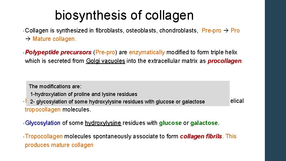 biosynthesis of collagen • Collagen is synthesized in fibroblasts, osteoblasts, chondroblasts, Pre-pro Pro Mature