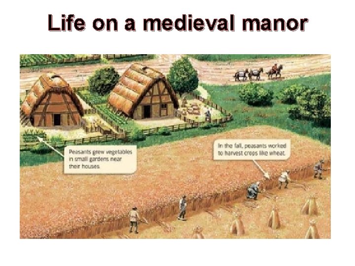 Life on a medieval manor 