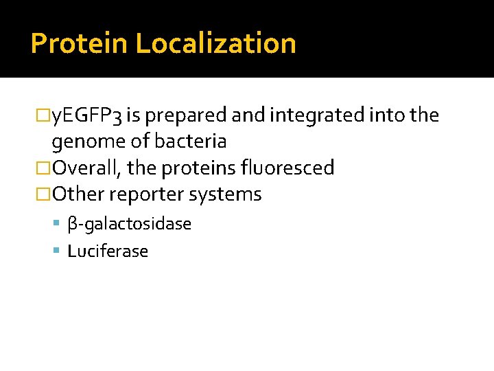 Protein Localization �y. EGFP 3 is prepared and integrated into the genome of bacteria