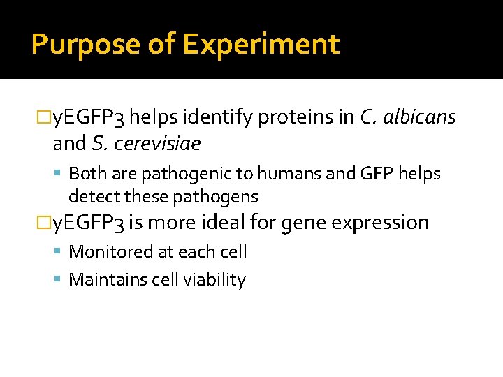 Purpose of Experiment �y. EGFP 3 helps identify proteins in C. albicans and S.