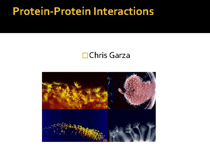 Protein-Protein Interactions �Chris Garza 