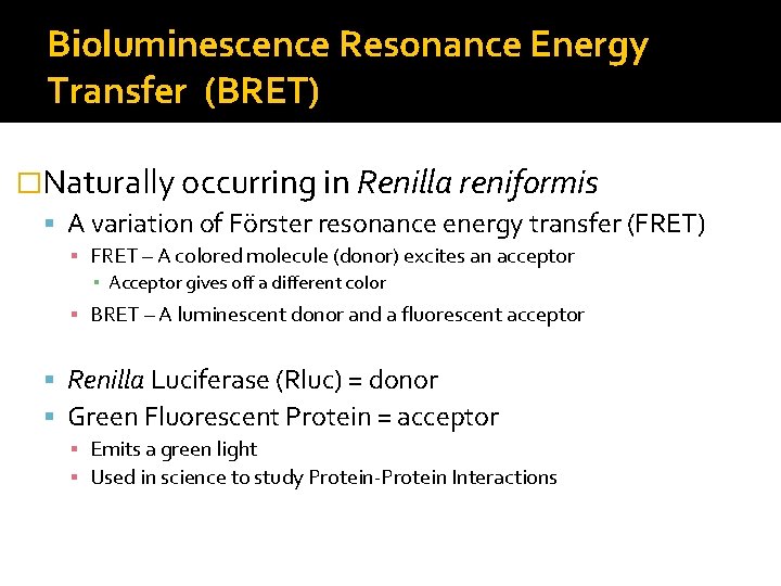 Bioluminescence Resonance Energy Transfer (BRET) �Naturally occurring in Renilla reniformis A variation of Förster