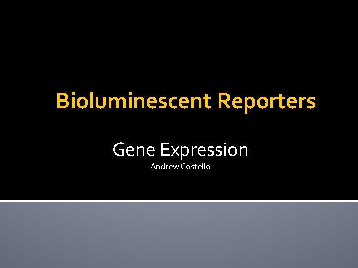 Bioluminescent Reporters Gene Expression Andrew Costello 