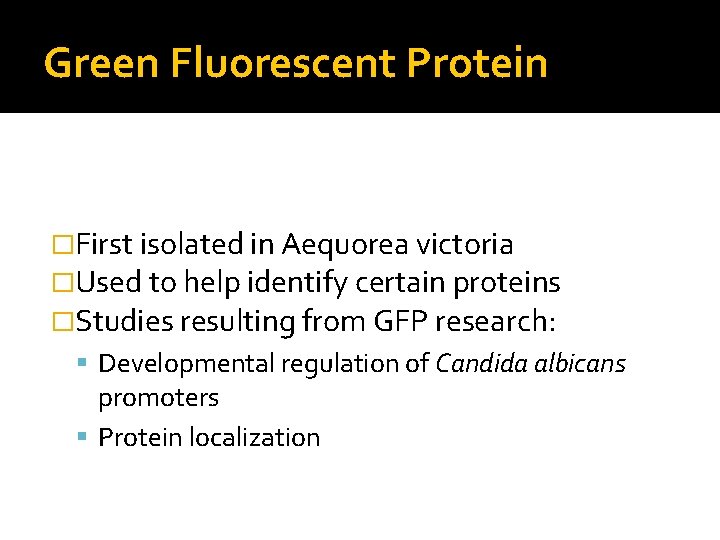 Green Fluorescent Protein �First isolated in Aequorea victoria �Used to help identify certain proteins