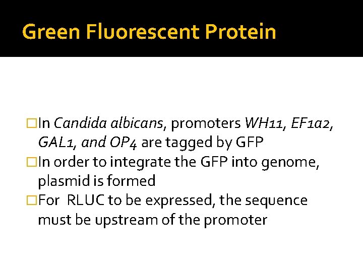 Green Fluorescent Protein �In Candida albicans, promoters WH 11, EF 1 a 2, GAL