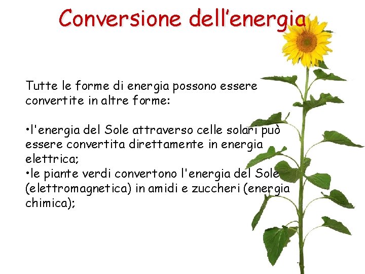 Conversione dell’energia Tutte le forme di energia possono essere convertite in altre forme: •