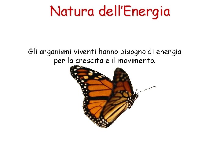 Natura dell’Energia Gli organismi viventi hanno bisogno di energia per la crescita e il