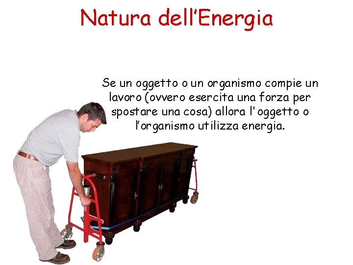 Natura dell’Energia Se un oggetto o un organismo compie un lavoro (ovvero esercita una