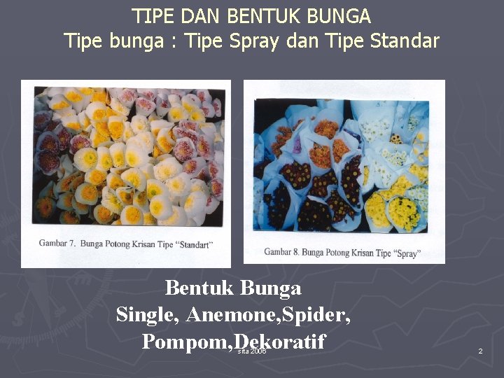 TIPE DAN BENTUK BUNGA Tipe bunga : Tipe Spray dan Tipe Standar Bentuk Bunga