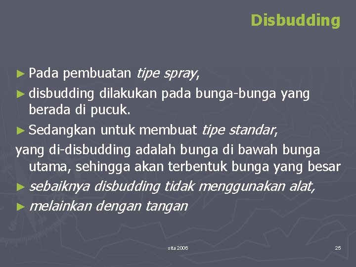 Disbudding pembuatan tipe spray, ► disbudding dilakukan pada bunga-bunga yang berada di pucuk. ►