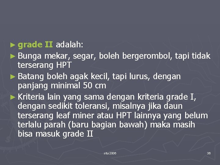 ► grade II adalah: ► Bunga mekar, segar, boleh bergerombol, tapi tidak terserang HPT