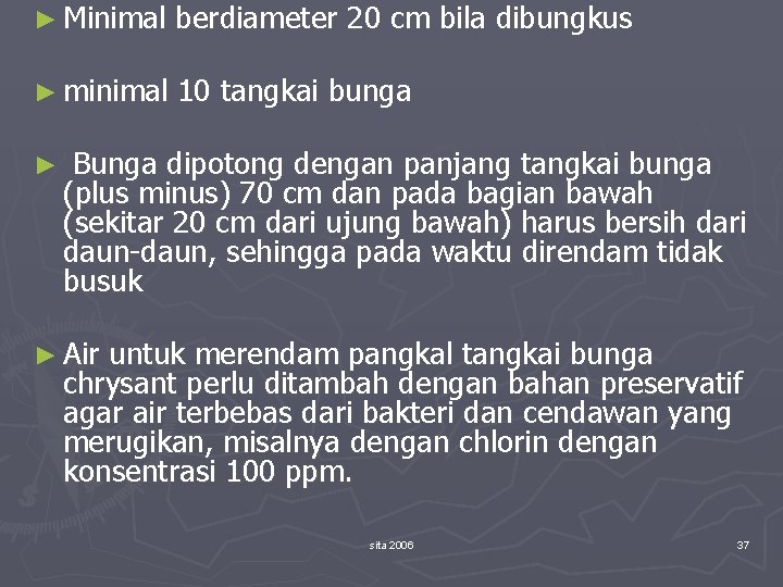 ► Minimal berdiameter 20 cm bila dibungkus ► minimal 10 tangkai bunga ► Bunga