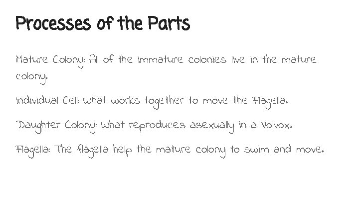 Processes of the Parts Mature Colony: All of the immature colonies live in the