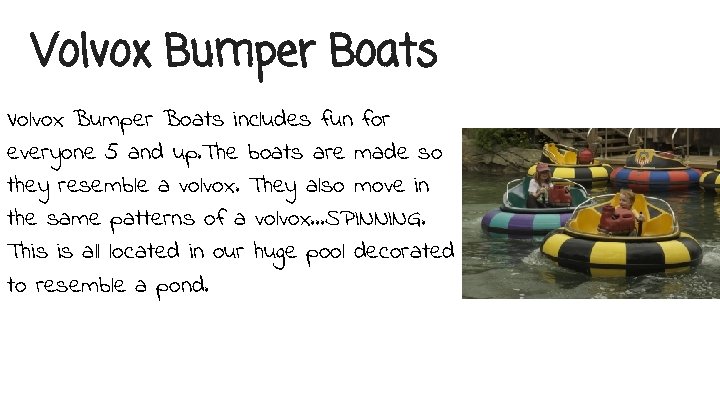 Volvox Bumper Boats includes fun for everyone 5 and up. The boats are made
