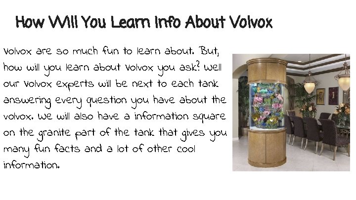 How Will You Learn Info About Volvox are so much fun to learn about.