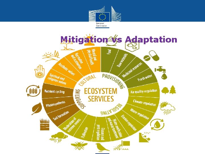 Mitigation vs Adaptation 