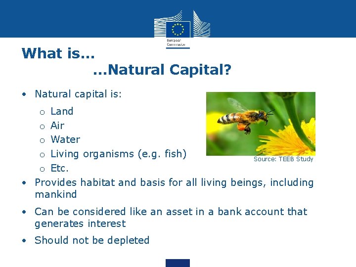 What is… …Natural Capital? • Natural capital is: o Land o Air o Water