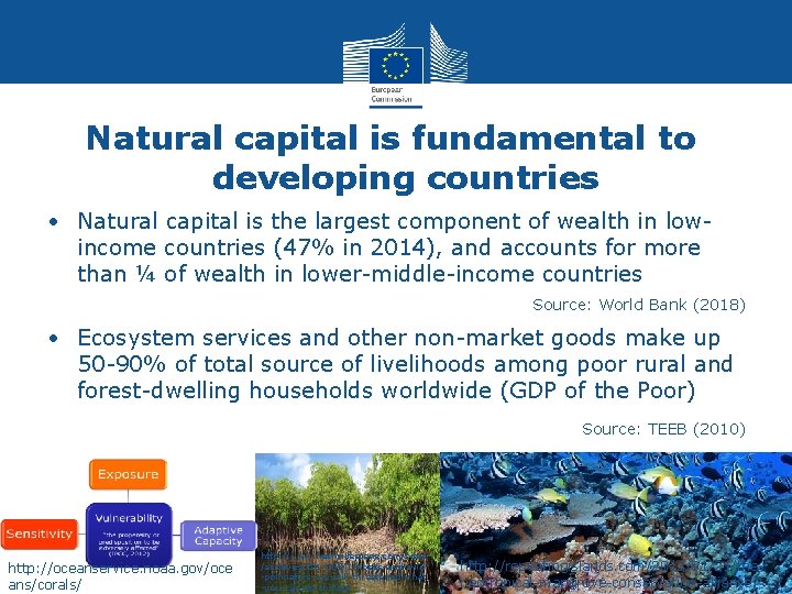 Natural capital is fundamental to developing countries • Natural capital is the largest component