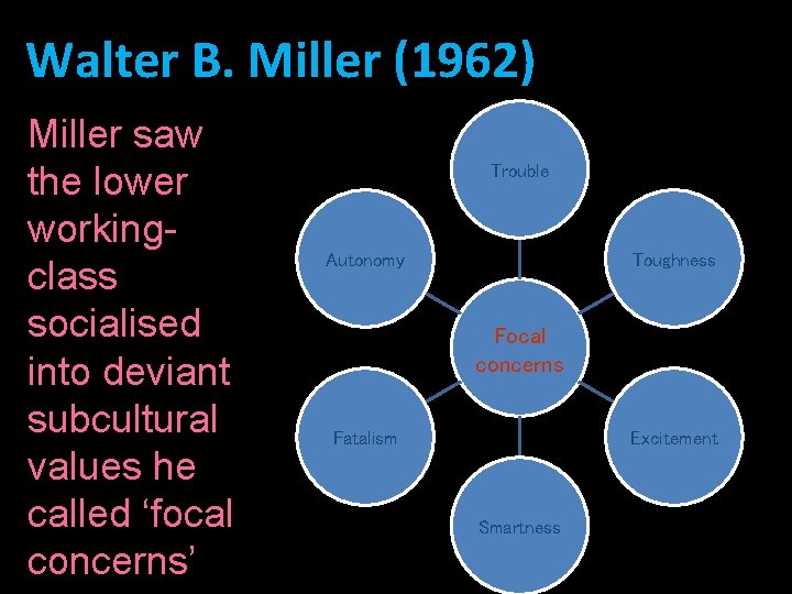 Walter B. Miller (1962) Miller saw the lower workingclass socialised into deviant subcultural values