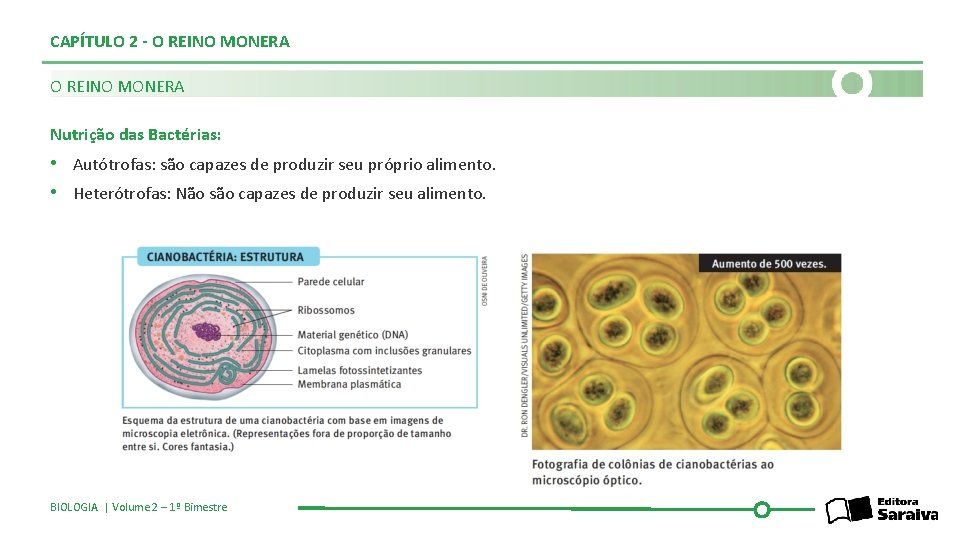 CAPÍTULO 2 - O REINO MONERA Nutrição das Bactérias: • Autótrofas: são capazes de