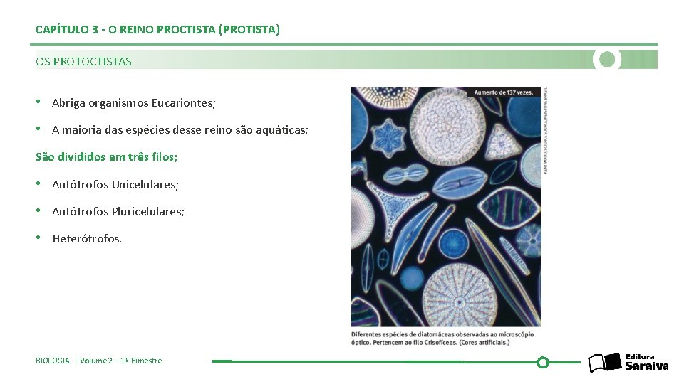 CAPÍTULO 3 - O REINO PROCTISTA (PROTISTA) OS PROTOCTISTAS • Abriga organismos Eucariontes; •