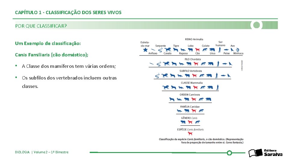 CAPÍTULO 1 - CLASSIFICAÇÃO DOS SERES VIVOS POR QUE CLASSIFICAR? Um Exemplo de classificação: