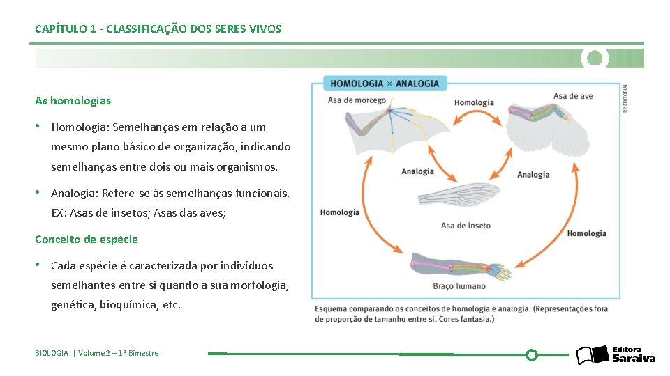 CAPÍTULO 1 - CLASSIFICAÇÃO DOS SERES VIVOS As homologias • Homologia: Semelhanças em relação