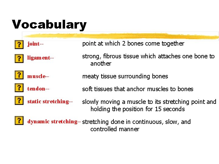 Vocabulary joint-- point at which 2 bones come together ligament-- strong, fibrous tissue which