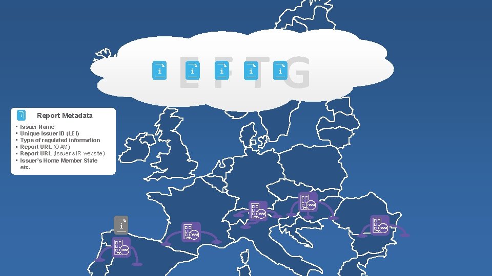 EFTG Report Metadata • • • Issuer Name Unique Issuer ID (LEI) Type of