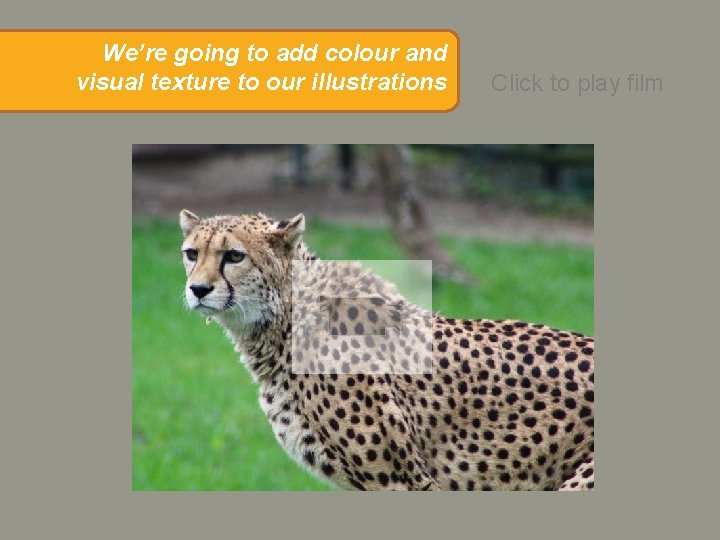 We’re going to add colour and visual texture to our illustrations Click to play