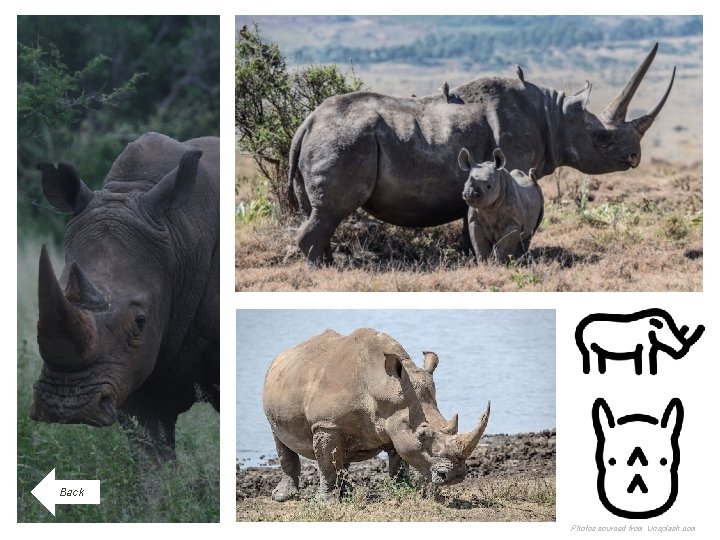 Back Photos sourced from Unsplash. com 