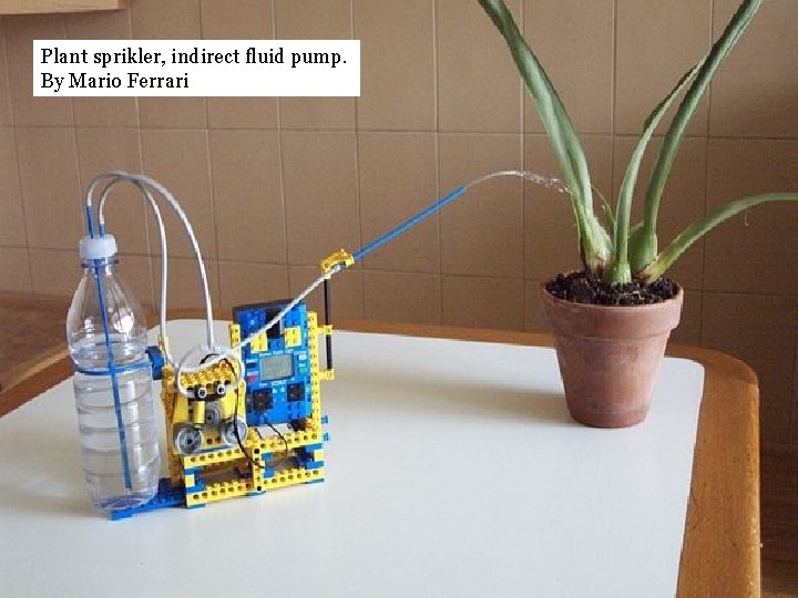 Plant sprikler, indirect fluid pump. By Mario Ferrari 