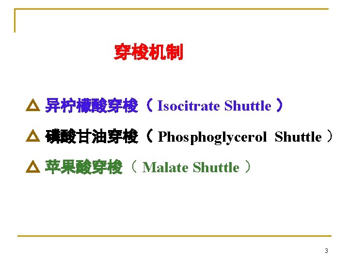 穿梭机制 △ 异柠檬酸穿梭（ Isocitrate Shuttle ） △ 磷酸甘油穿梭（ Phosphoglycerol Shuttle ） △ 苹果酸穿梭（ Malate