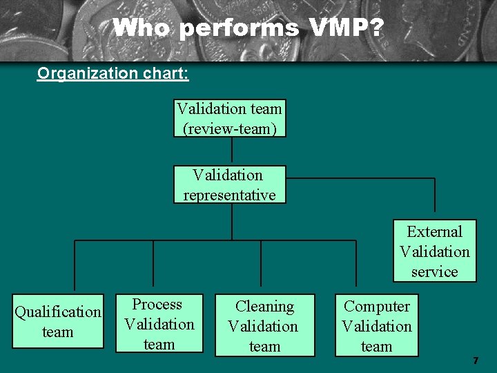 Who performs VMP? Organization chart: Validation team (review-team) Validation representative External Validation service Qualification