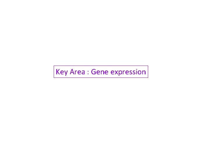 Key Area : Gene expression 