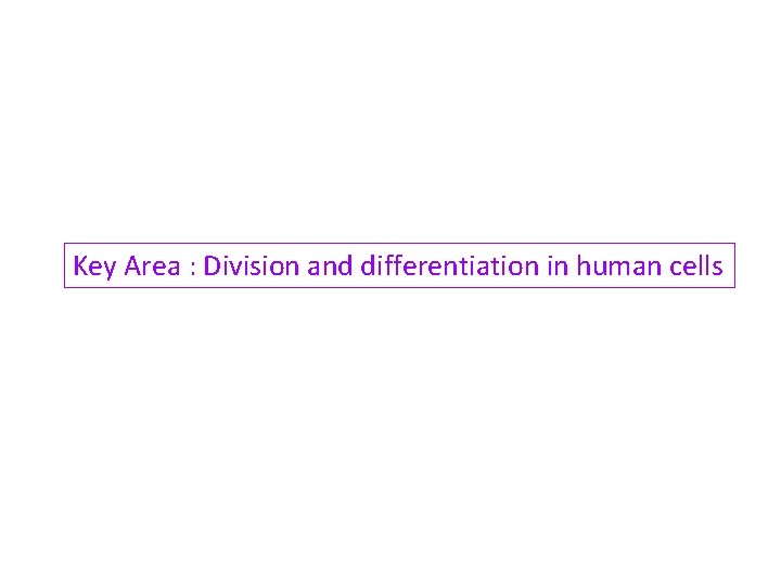 Key Area : Division and differentiation in human cells 