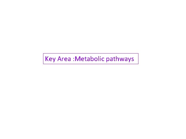 Key Area : Metabolic pathways 