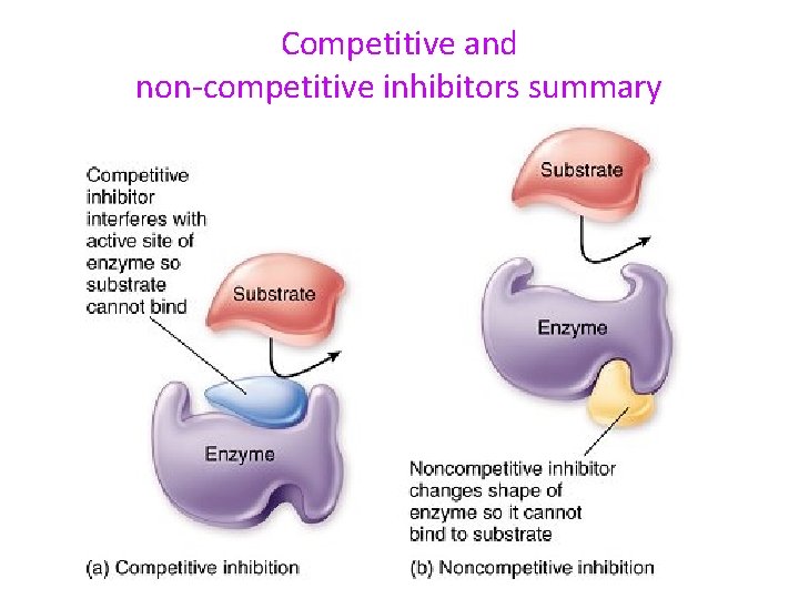 Competitive and non-competitive inhibitors summary 