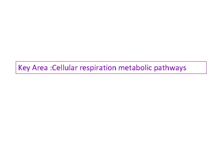 Key Area : Cellular respiration metabolic pathways 