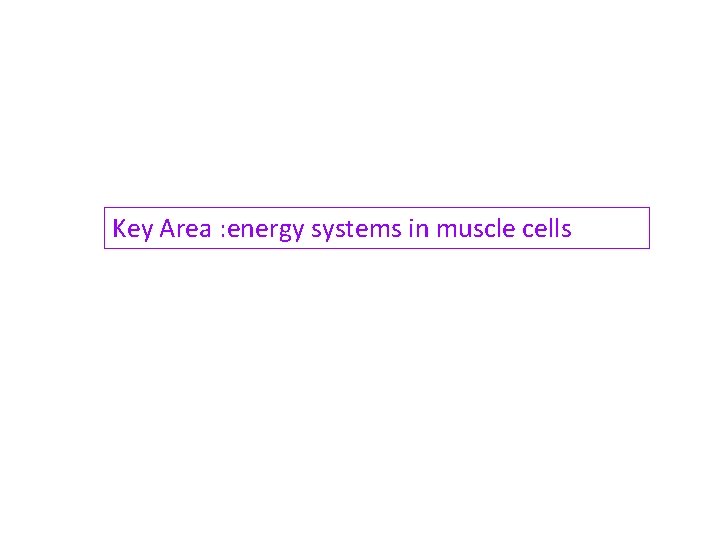 Key Area : energy systems in muscle cells 