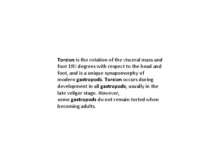 Torsion is the rotation of the visceral mass and foot 180 degrees with respect