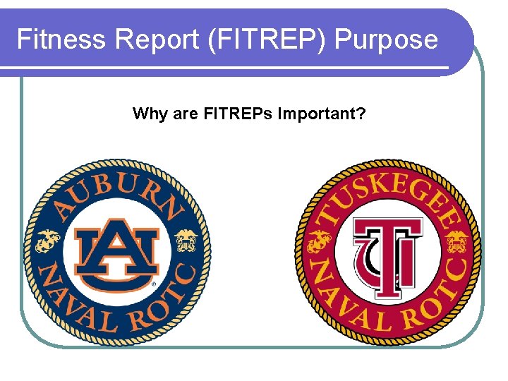 Fitness Report (FITREP) Purpose Why are FITREPs Important? 