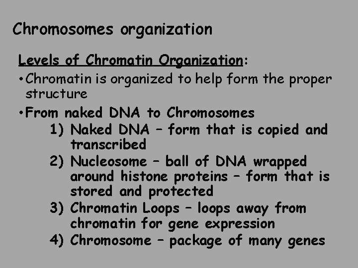 Chromosomes organization Levels of Chromatin Organization: • Chromatin is organized to help form the