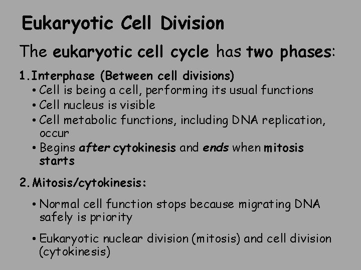 Eukaryotic Cell Division The eukaryotic cell cycle has two phases: 1. Interphase (Between cell