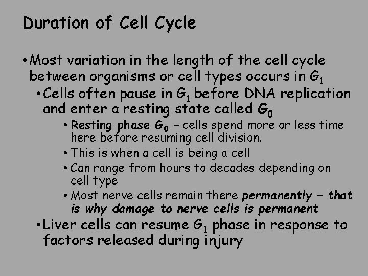 Duration of Cell Cycle • Most variation in the length of the cell cycle